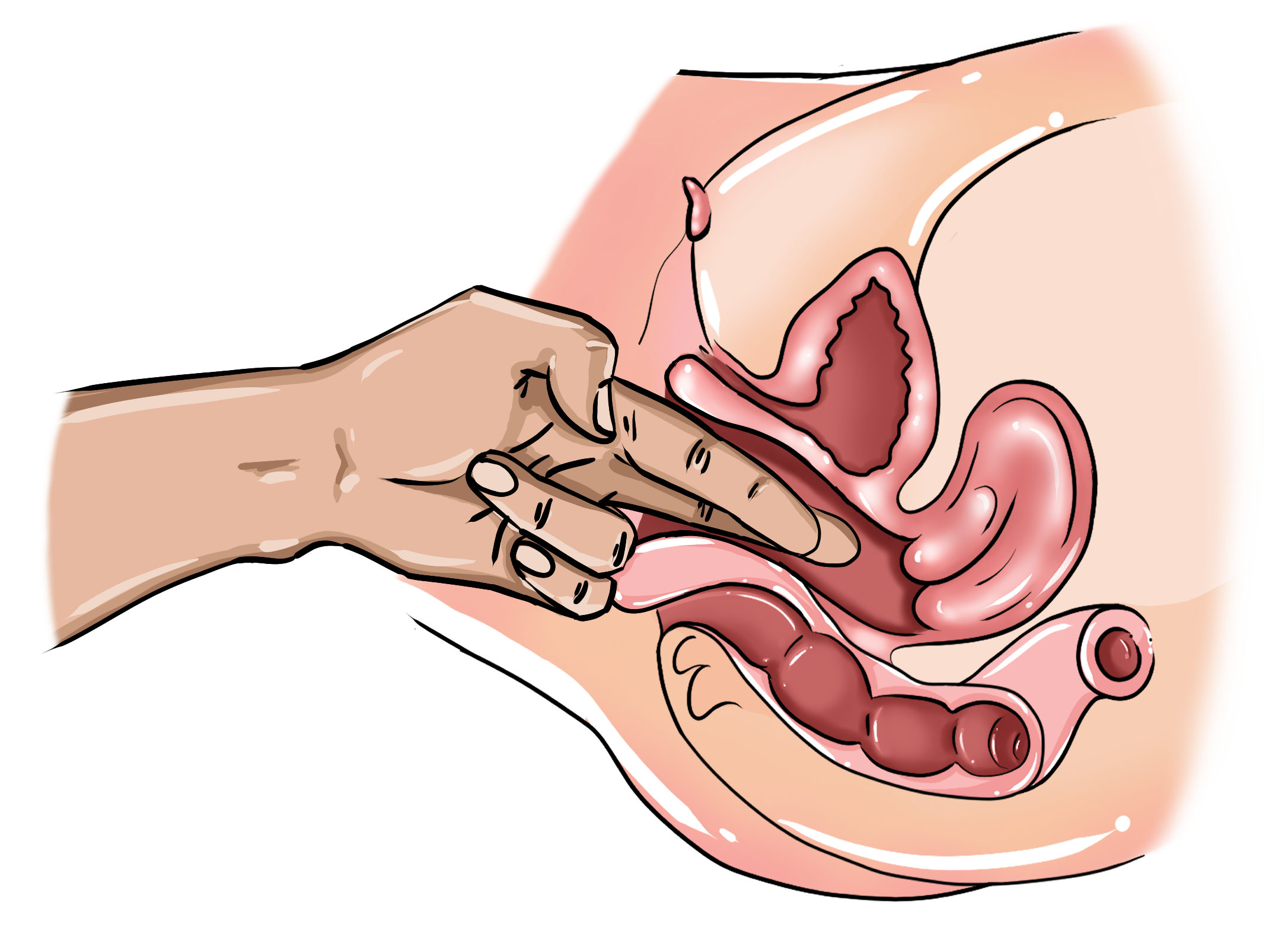 How to Finger a Pussy: Step-by-Step (Best Ways to Please Her)