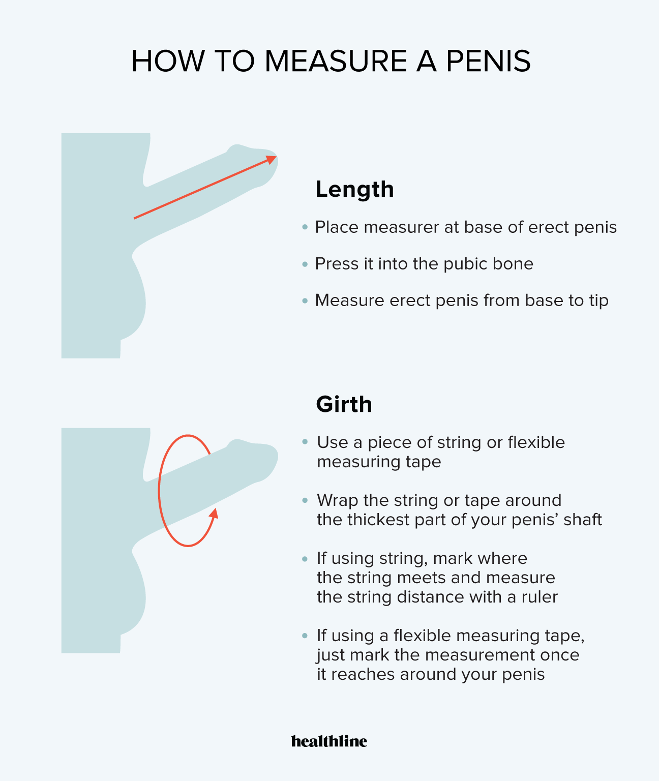 What is girth penis measurement explained? Understand how doctors check penis thickness simply.