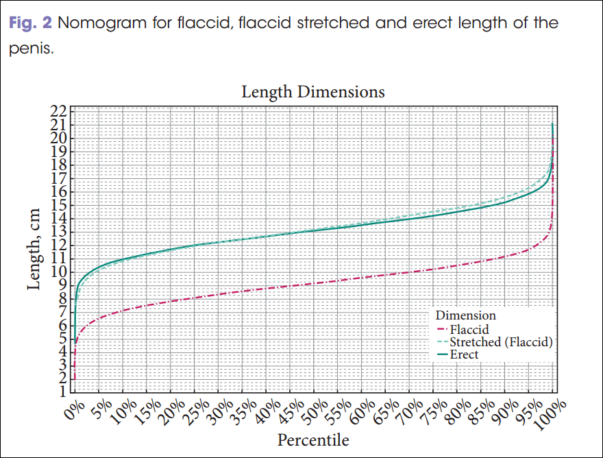 Is a 10 inch penis common? Exploring the real facts and statistics.
