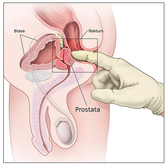 How does anal feel for men really? Exploring the actual sensations and potential pleasure involved.