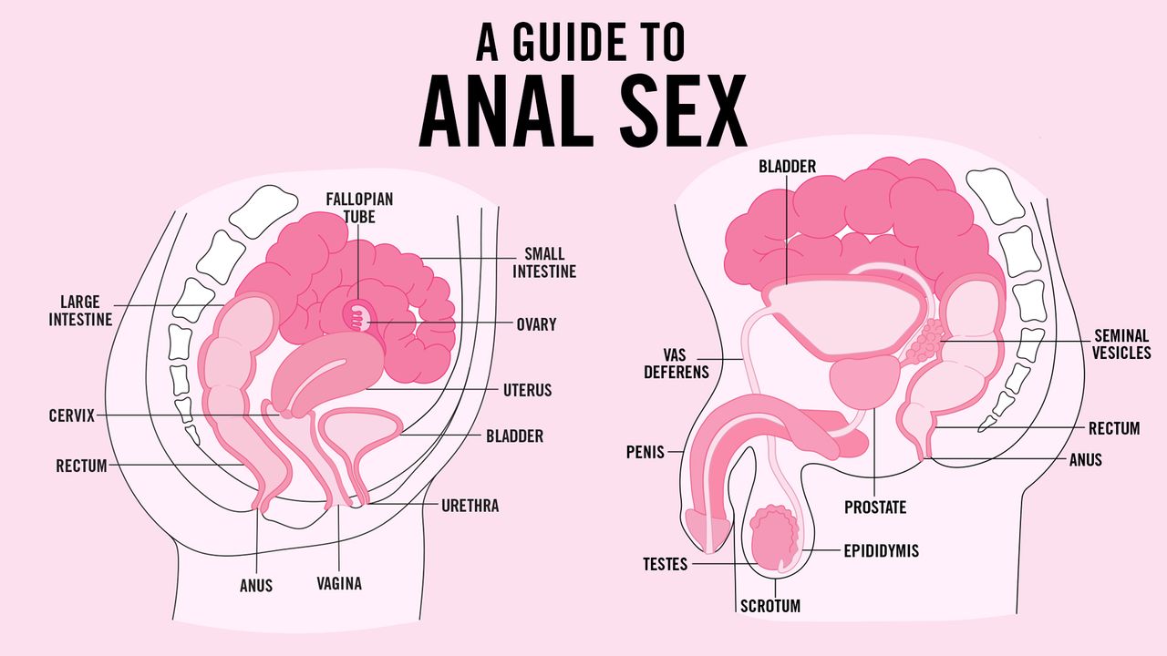 How Does Anal Feel The First Time? Everything You Need to Know