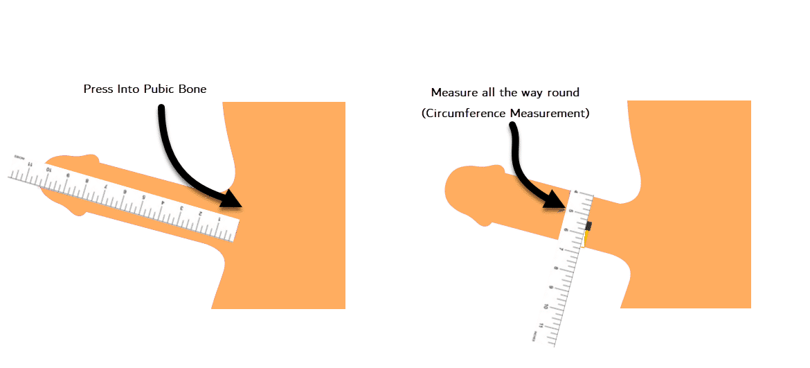 Confused about how to measure a cock the right way? Get precise results using these common and easy methods at home.