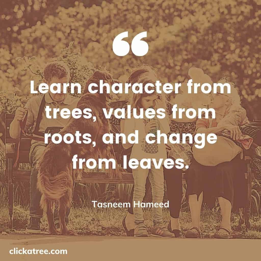One Tree Quotes That Will Inspire You to Live Better