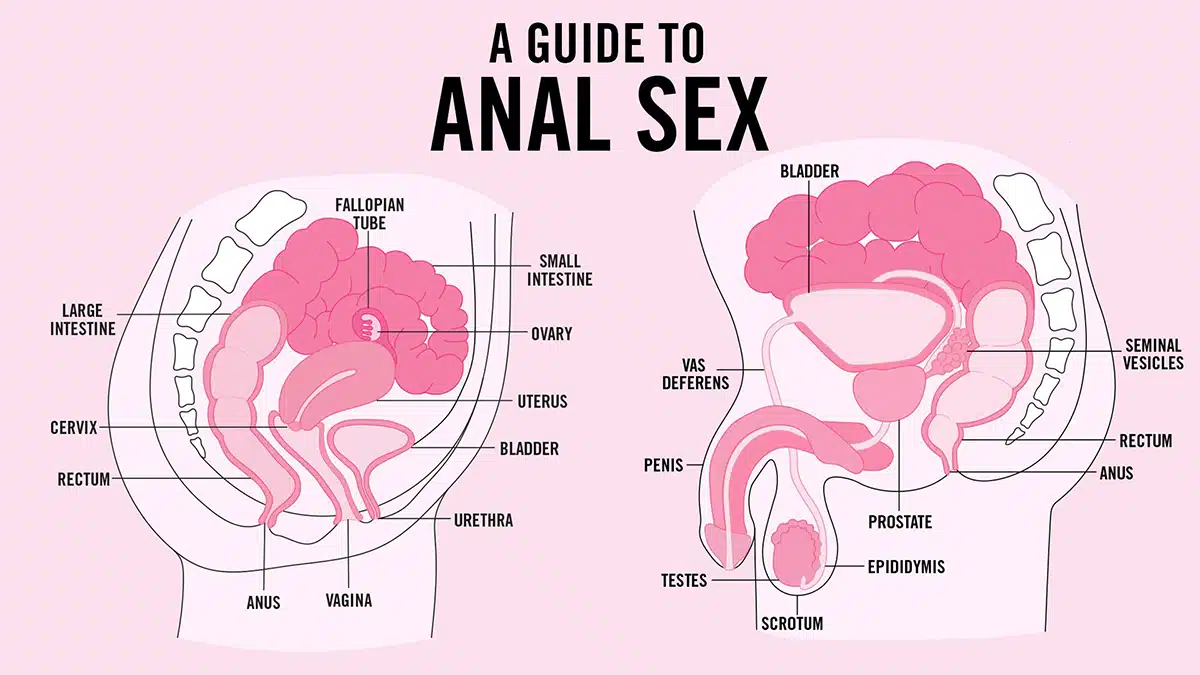 How does anal feel for men really? Exploring the actual sensations and potential pleasure involved.