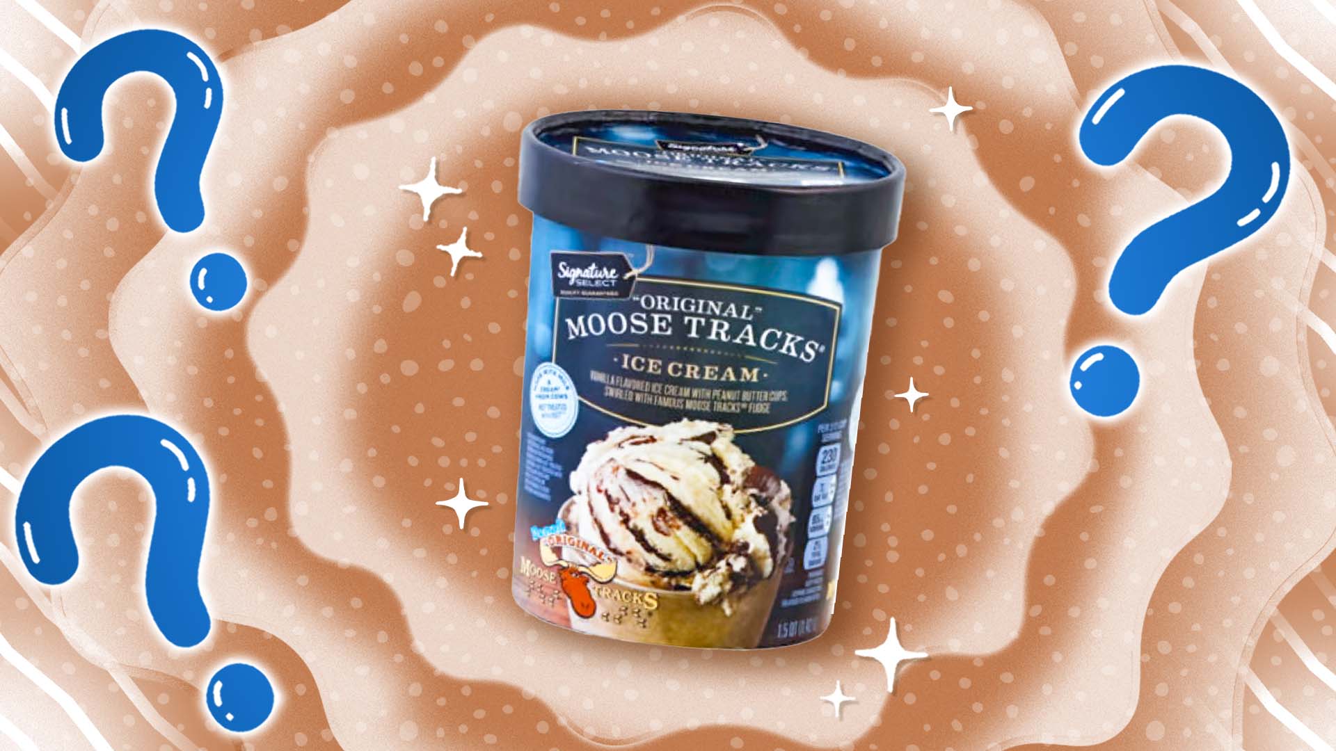Confused About Moose Tracks Ice Cream? (Heres a Quick and Easy Definition)