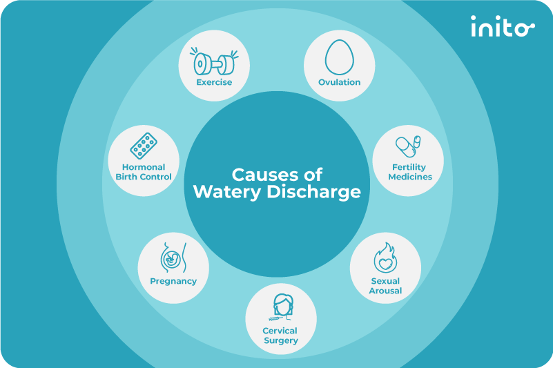Why Am I Having So Much Clear, Watery Discharge? (Causes and What It Means)