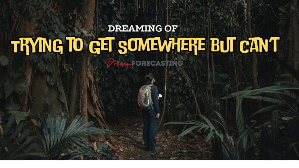Dreaming of Travel? How to Explore From Home (For Someone Who Wants to Explore But Cant)