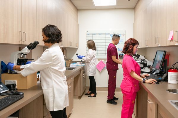Your Guide to Planned Parenthood Clifton Park NY Today