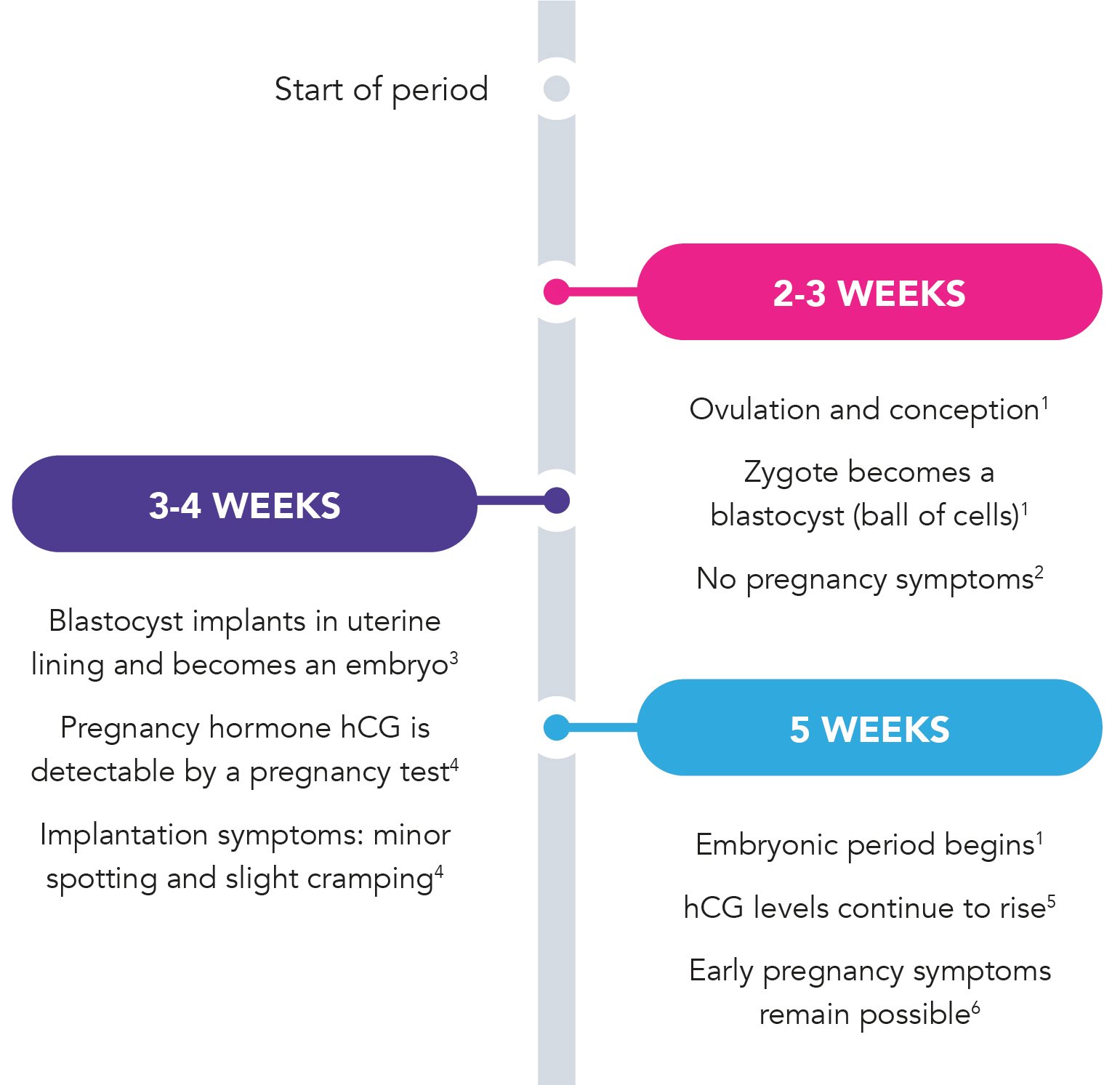 First Pregnancy Symptoms: Days Until They Show Up?