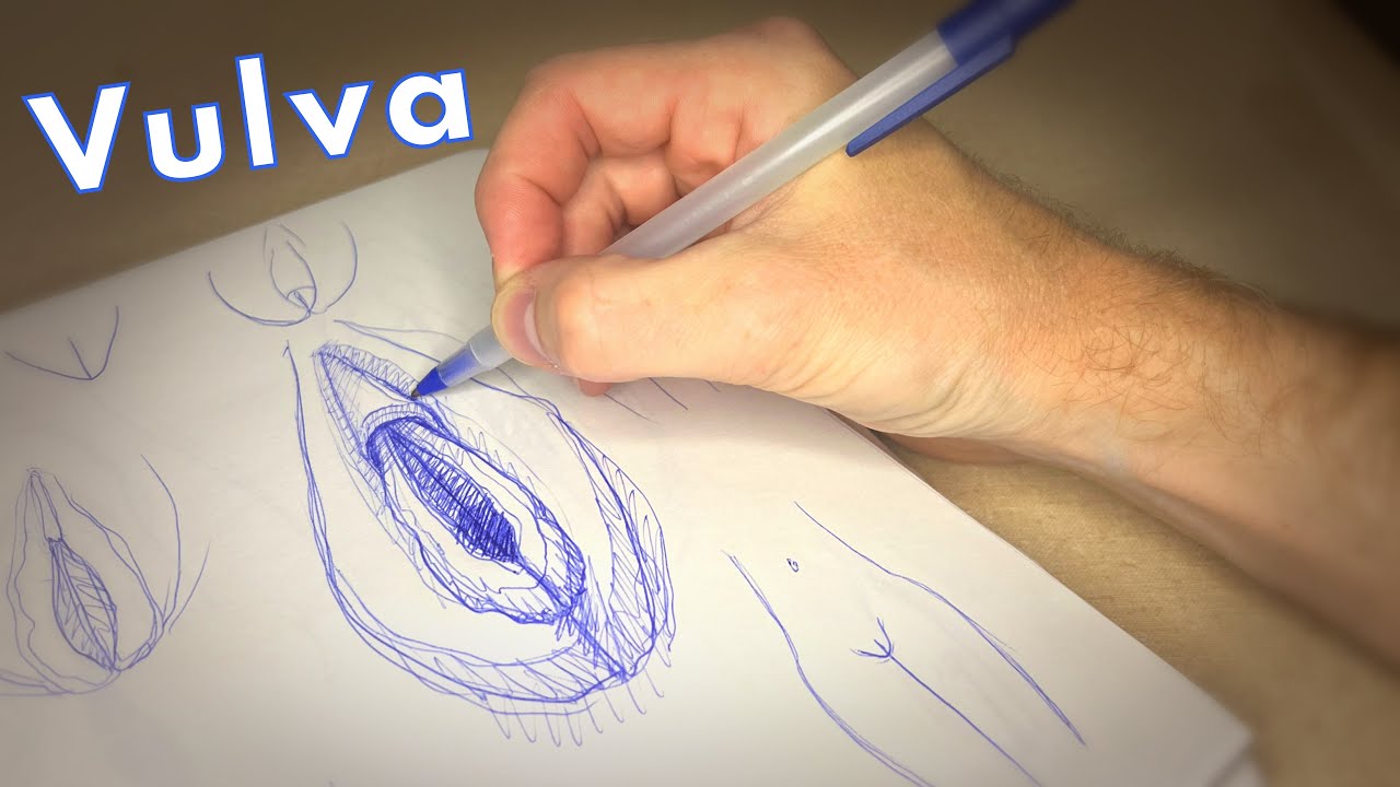 Vagina Drawing Easy: Simple Steps for Beginners to Draw
