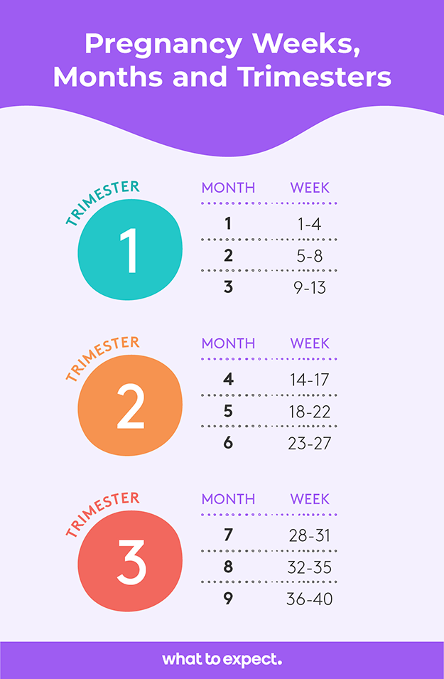 Need to know how many weeks is in 7 months exactly? Get the most accurate answer right here now.