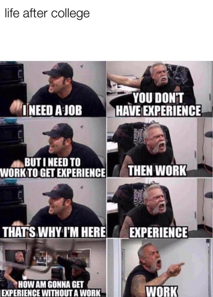 Feeling the i dont want college i want work meme vibe strongly? You are not alone in preferring work experience.