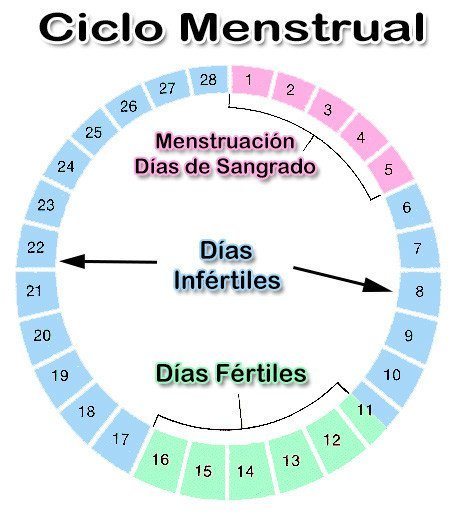 What is the Metodo del Ritmo? A Simple Guide for Beginners