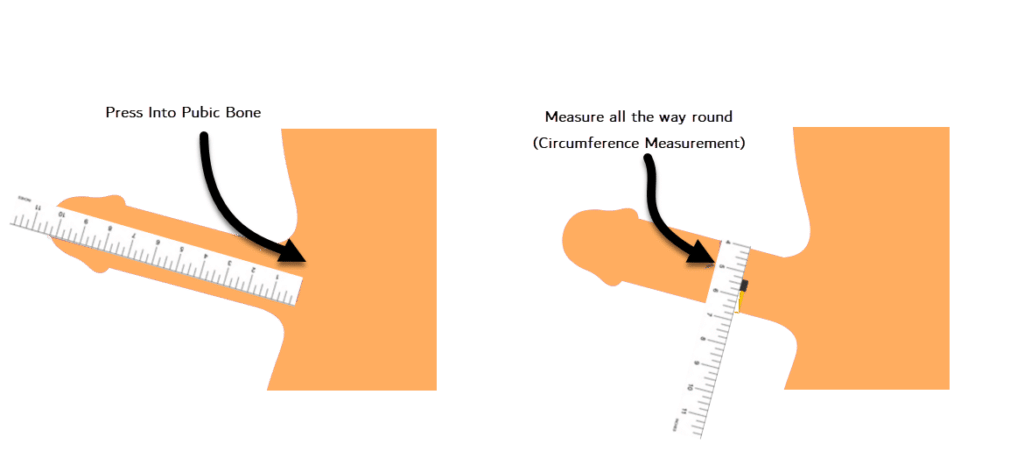 confused how to mesure penis size? (here is the simple answer)