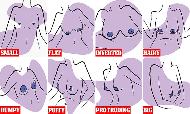 Where can you find diverse nipple images online? Explore these top galleries for variety.