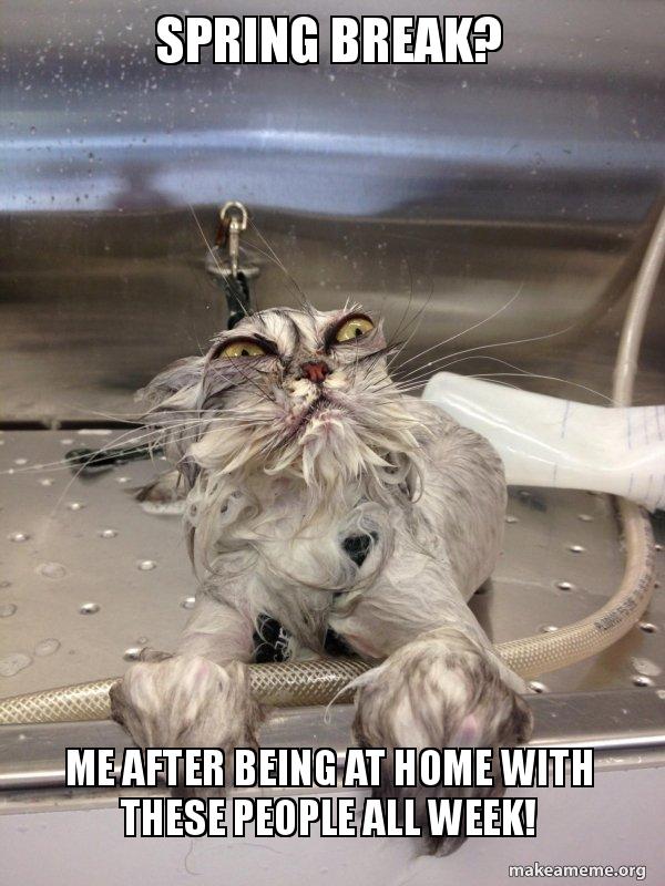 Where can I find the funniest spring break meme online? Check out these hilarious collections now!