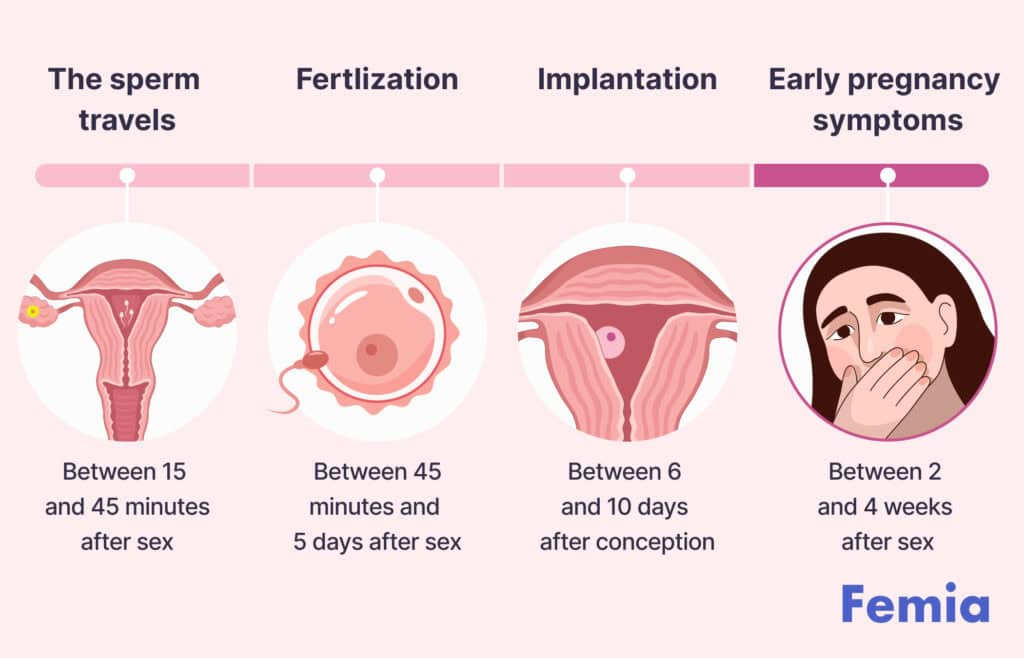 Curious about after how many days pregnancy symptoms start? Identify the early signs and their timing.