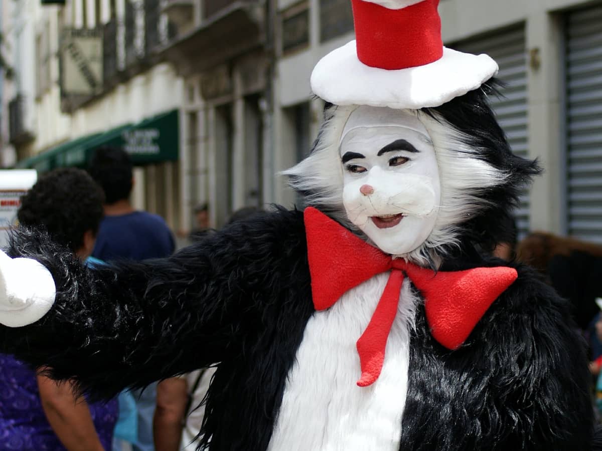 Need fun rhyme without reason costume ideas for 2? Check out these easy pairs now!