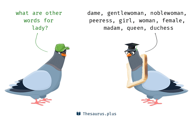 Lady part vocabulary: What is another word for lady part to use?