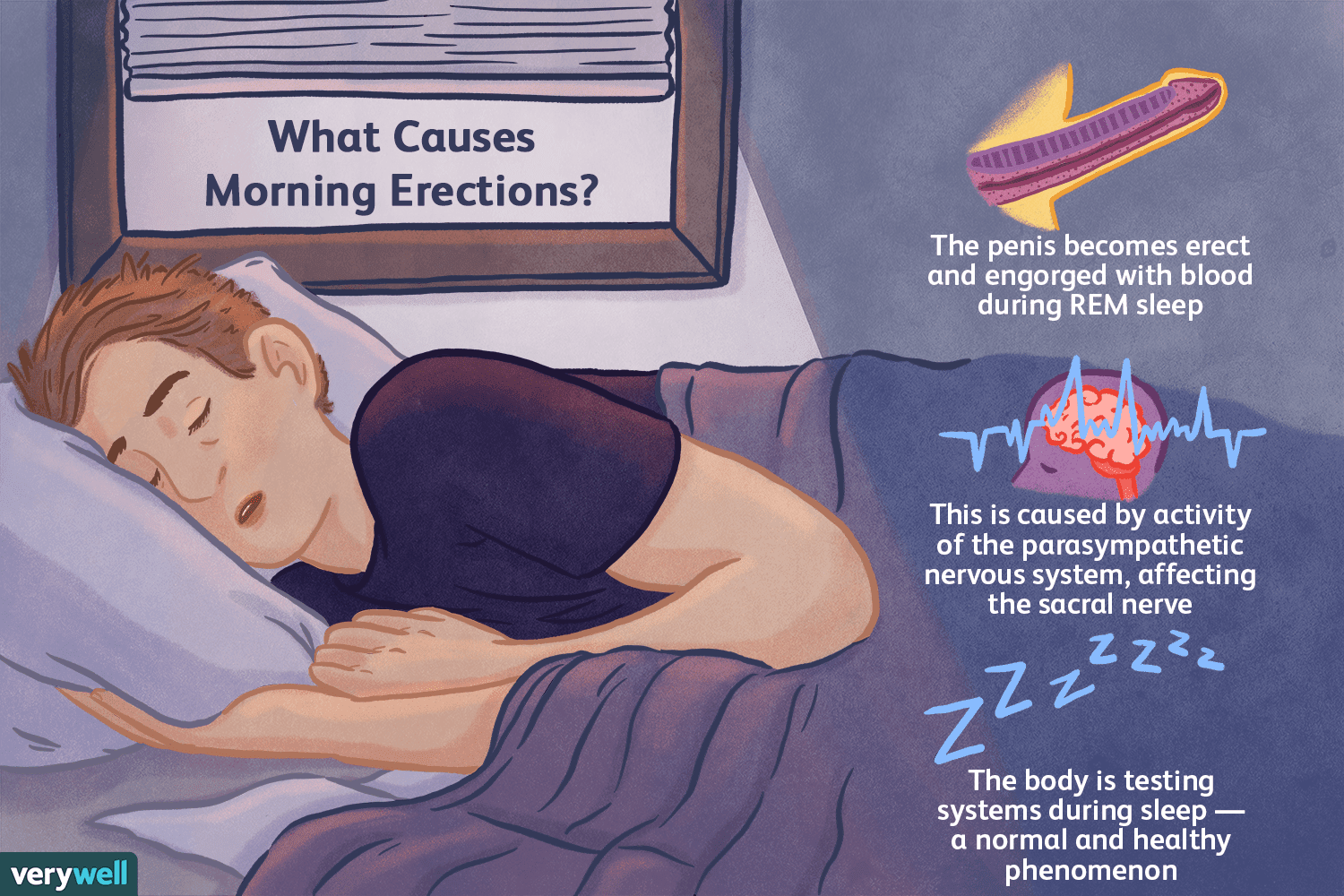 Is having a pee boner a normal thing for men? Understanding what causes morning erections.