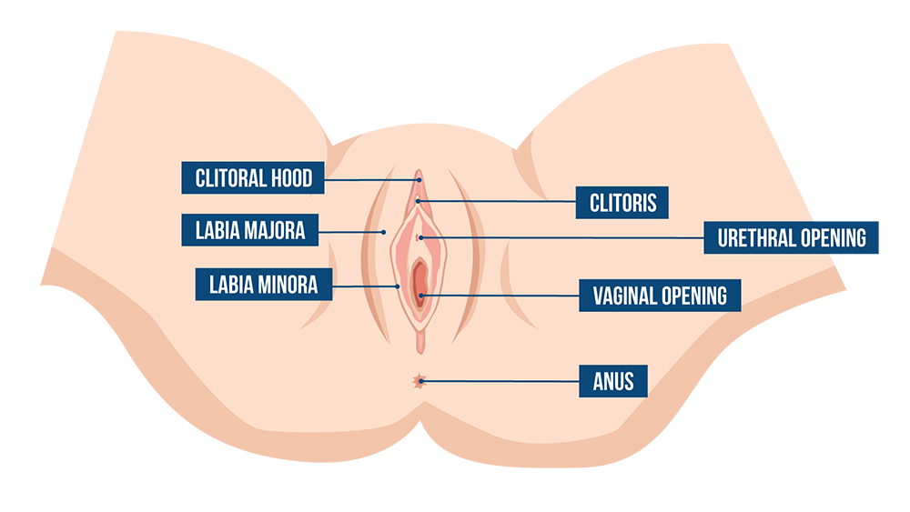 Simple Squirting Tips: How to Ejaculate Like a Pornstar