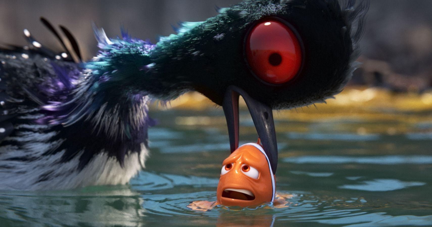 Searching was the common loon in Finding Nemo? Find out the real story about the birds shown on screen.