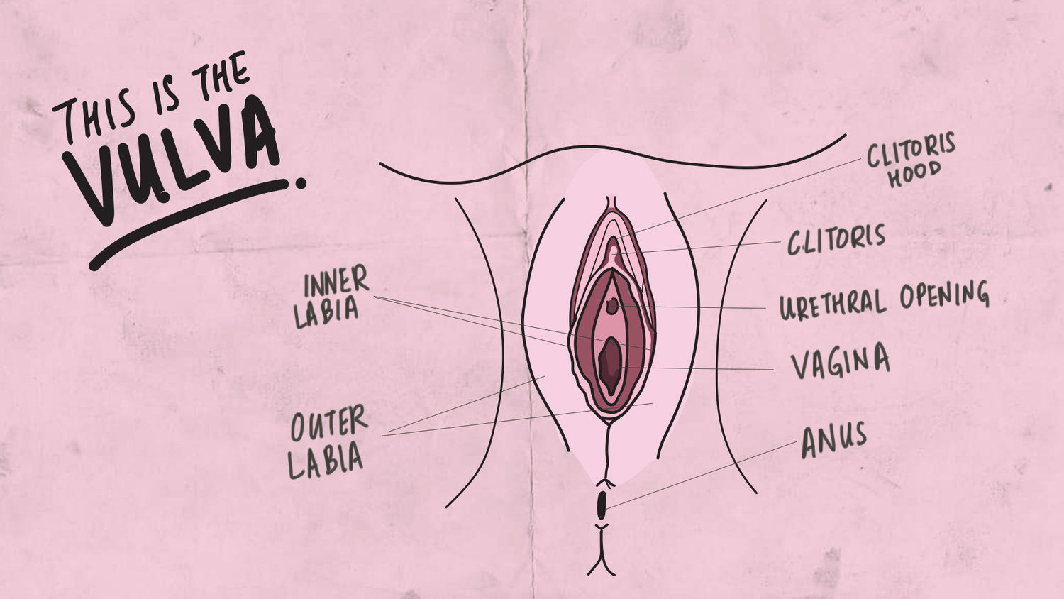 Virgin First Time: What to Expect on Your First Time?