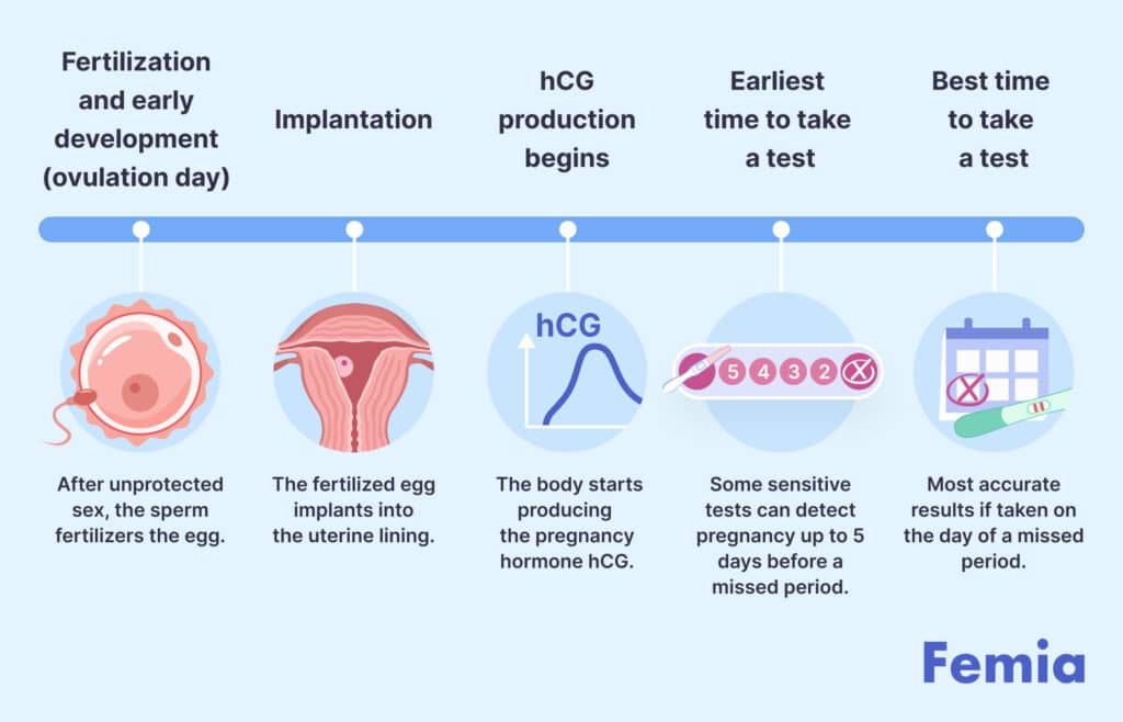 After Intercourse, How Soon to Test for Pregnancy? Get Answers Here