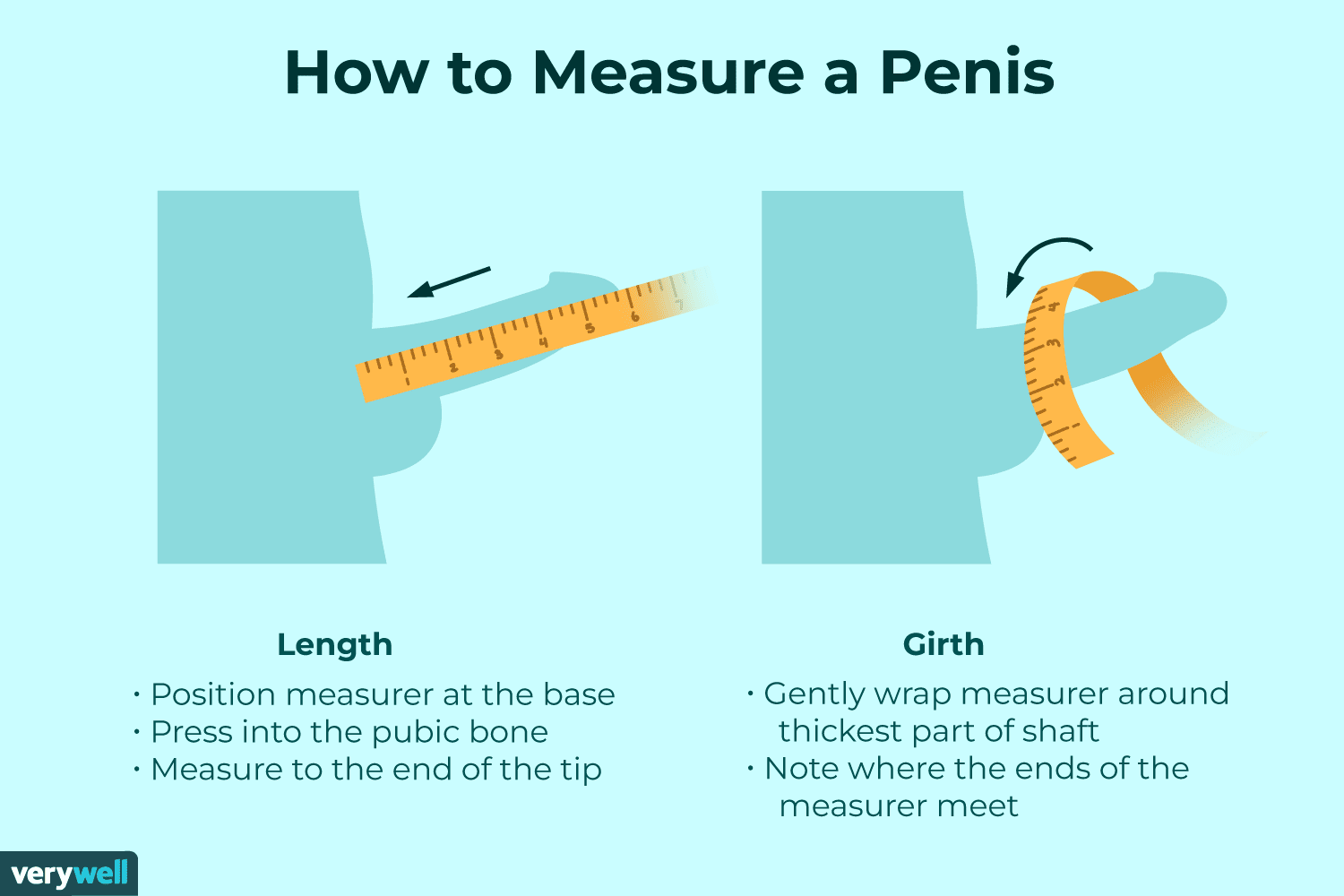 confused how to mesure penis size? (here is the simple answer)