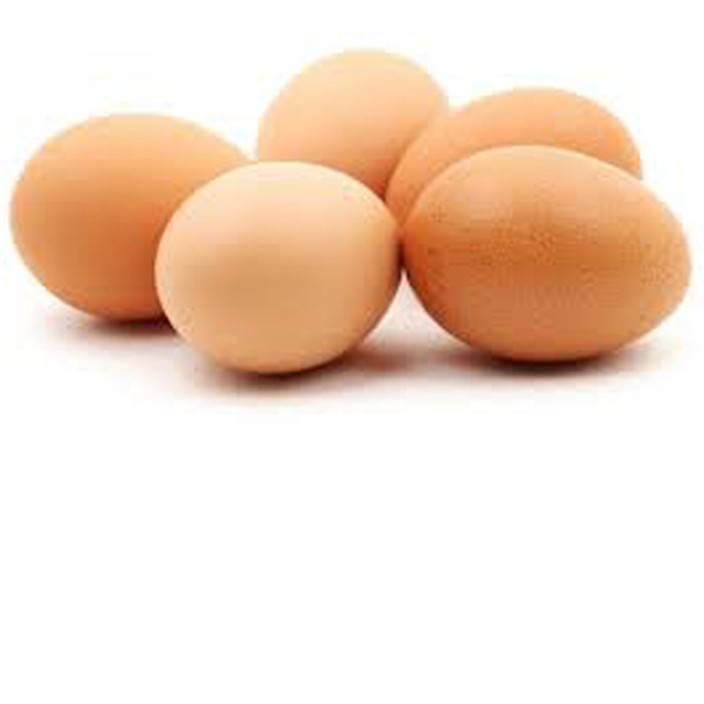 Searching where to get eggs testes? Discover the top local and online suppliers now.