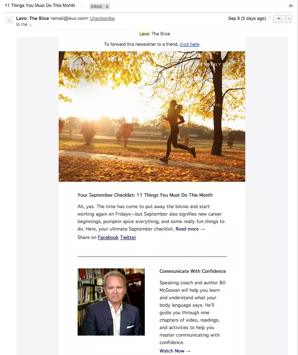 Pro Newsletter Examples: Learn from the Best and Get Inspired Now