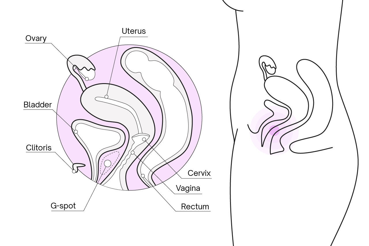How to find the clit edge? Simple tips for locating this very sensitive spot easily!