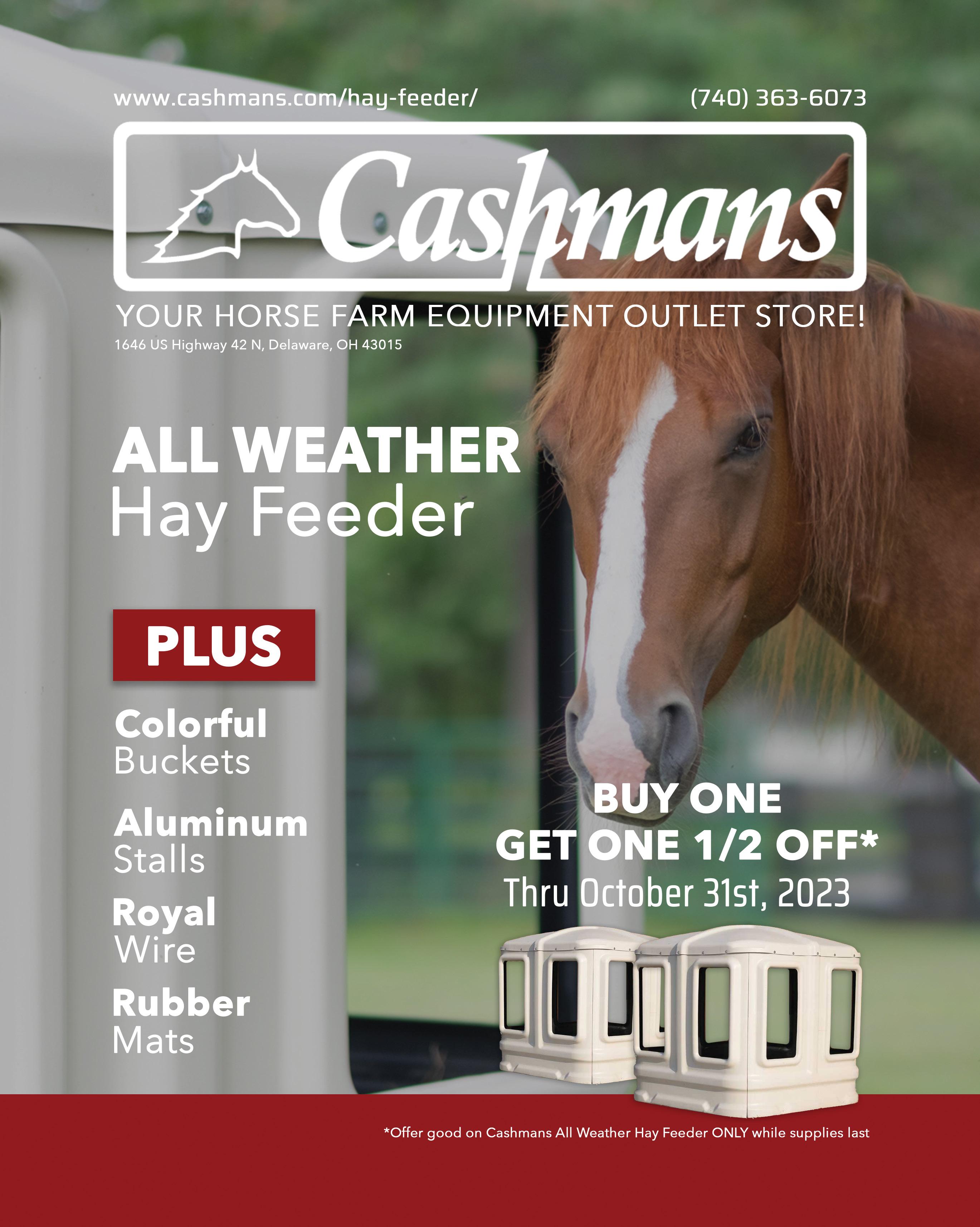 What services does Horseman Haven offer? (Explore amazing stables, scenic trails, and more for your horse)