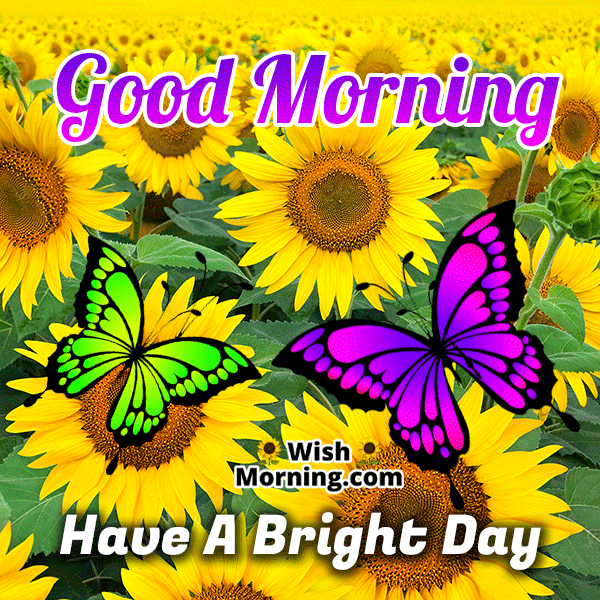 Nice morning gif? Get yours now!