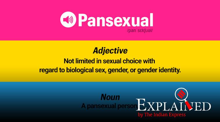 What does que es un pansexual mean nowadays? An easy to grasp explanation of this common pansexual identity.