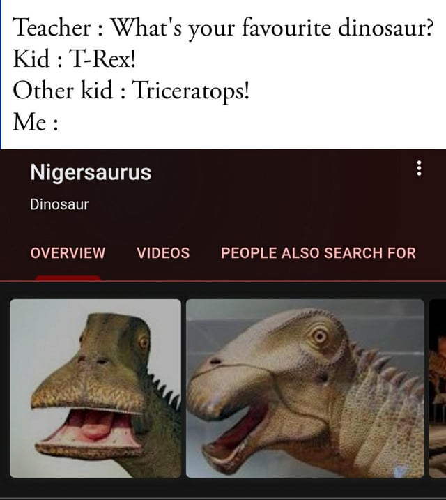 What is the what dinosaur has 500 teeth joke really asking? We have the funny answer here.