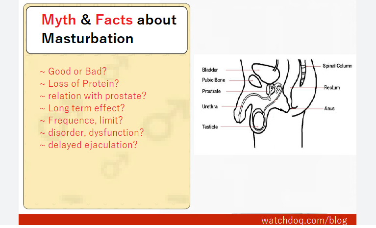 Debunking myths about what masturbation causes: understand the truth behind common misconceptions today.