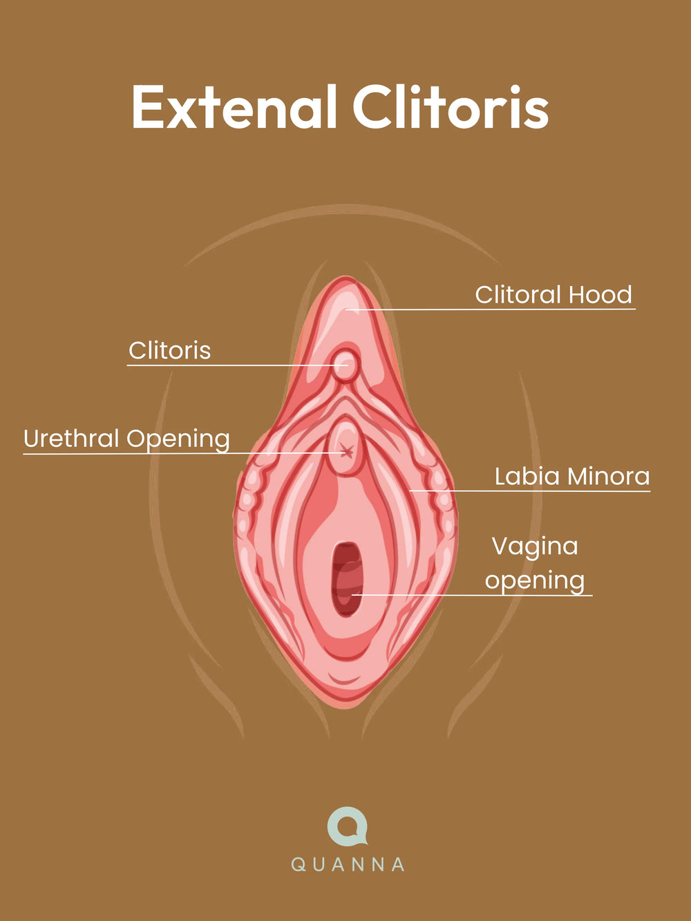 Learning how to make myself squirt explained simply (Discover the easy steps and tips you can try).