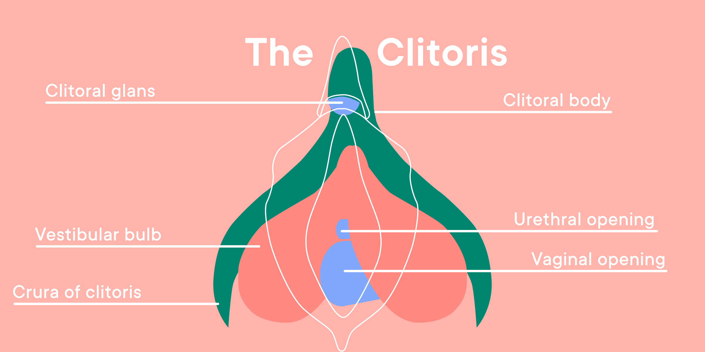 How do you do lesbian sex: a simple beginners guide to exploring intimacy and pleasure.