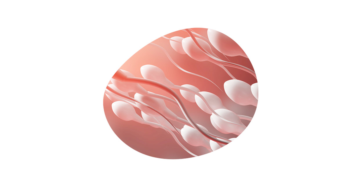 Where to find inseminacion near me, cost and details?