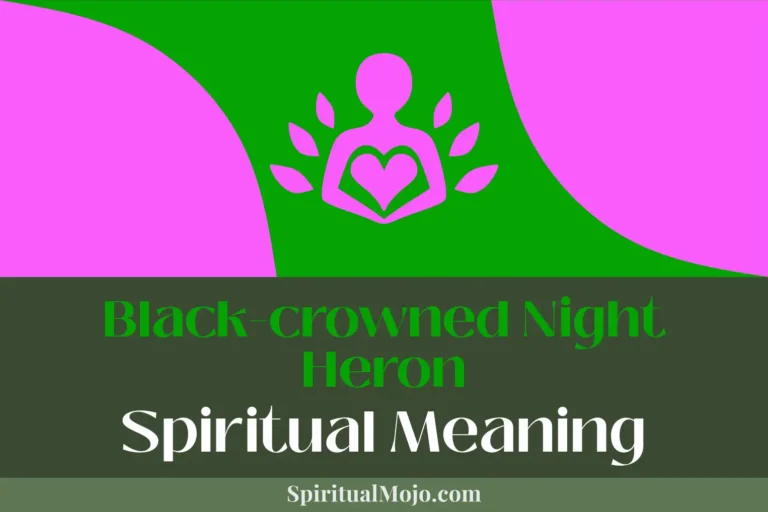 Unlocking the Soul of a Gypsy Meaning: Find Your Inner Nomad
