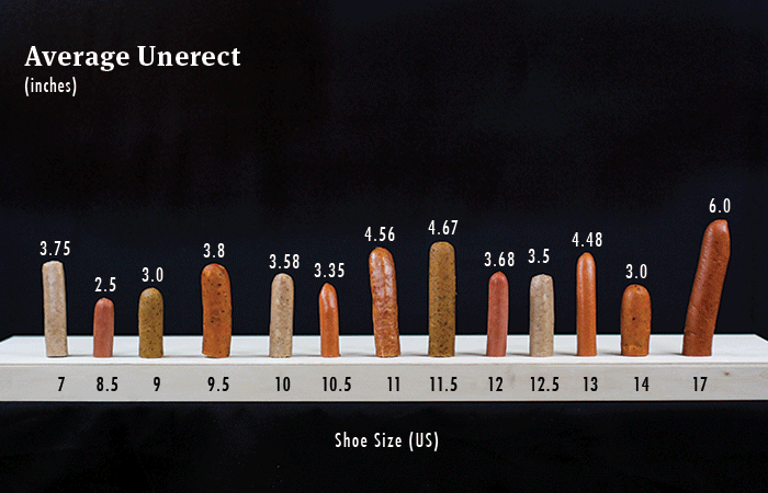 What is the Truth About 9 Inch Penises Size?