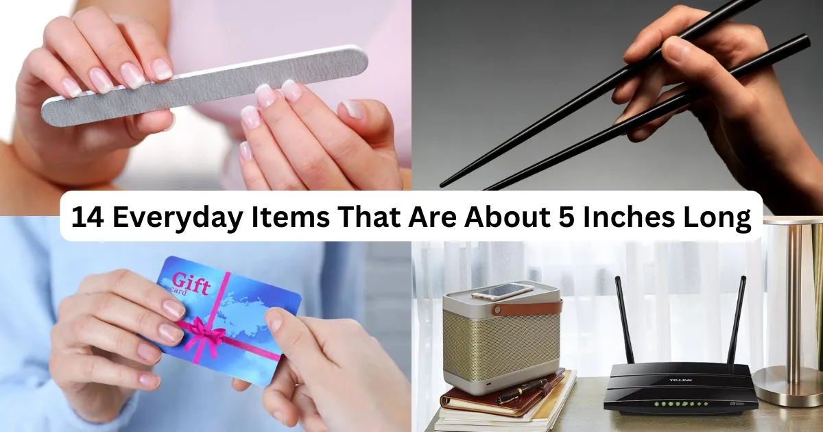 Is something 5 inches long considered big or small? Lets explore different perspectives on this specific length.