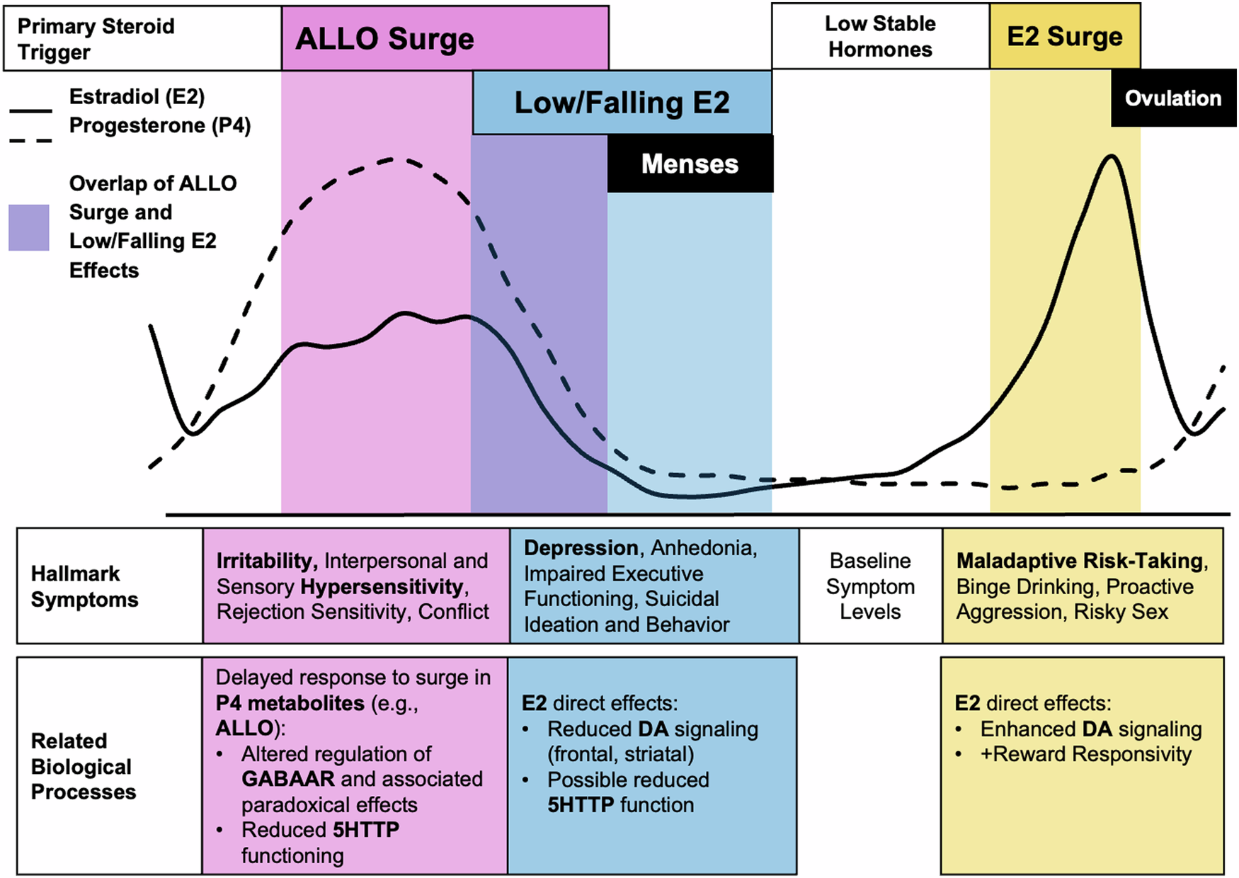 Where can I find a good oral sex diagram? Check these top resources for helpful visuals now.