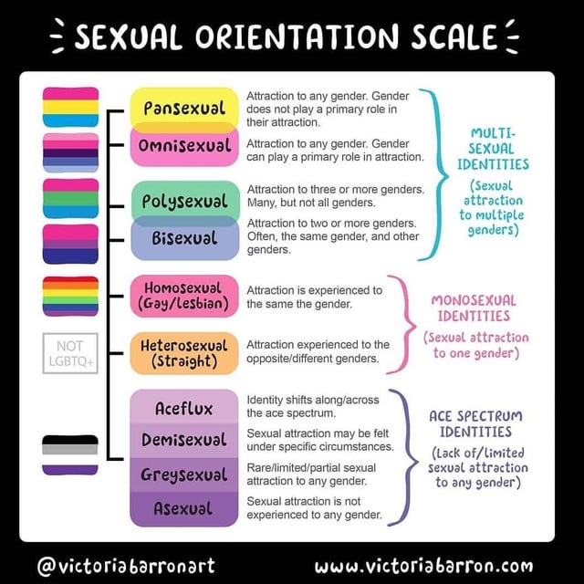 how can you tell if a man is bisexual? answers to top 4 questions here