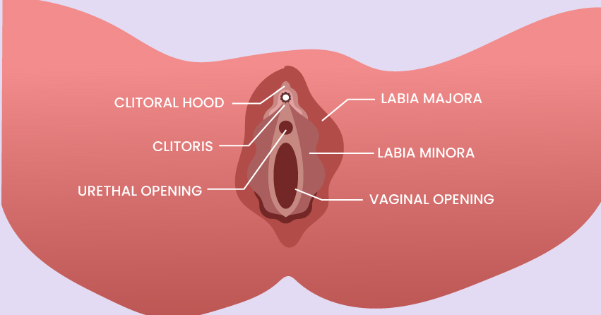 Want to know how make myself squirt? Many can and here is how you can try!