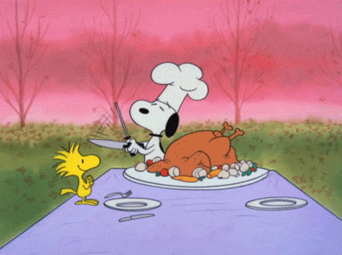 Funny Thanksgiving Break GIFs Sharing Tips Spread Holiday Cheer