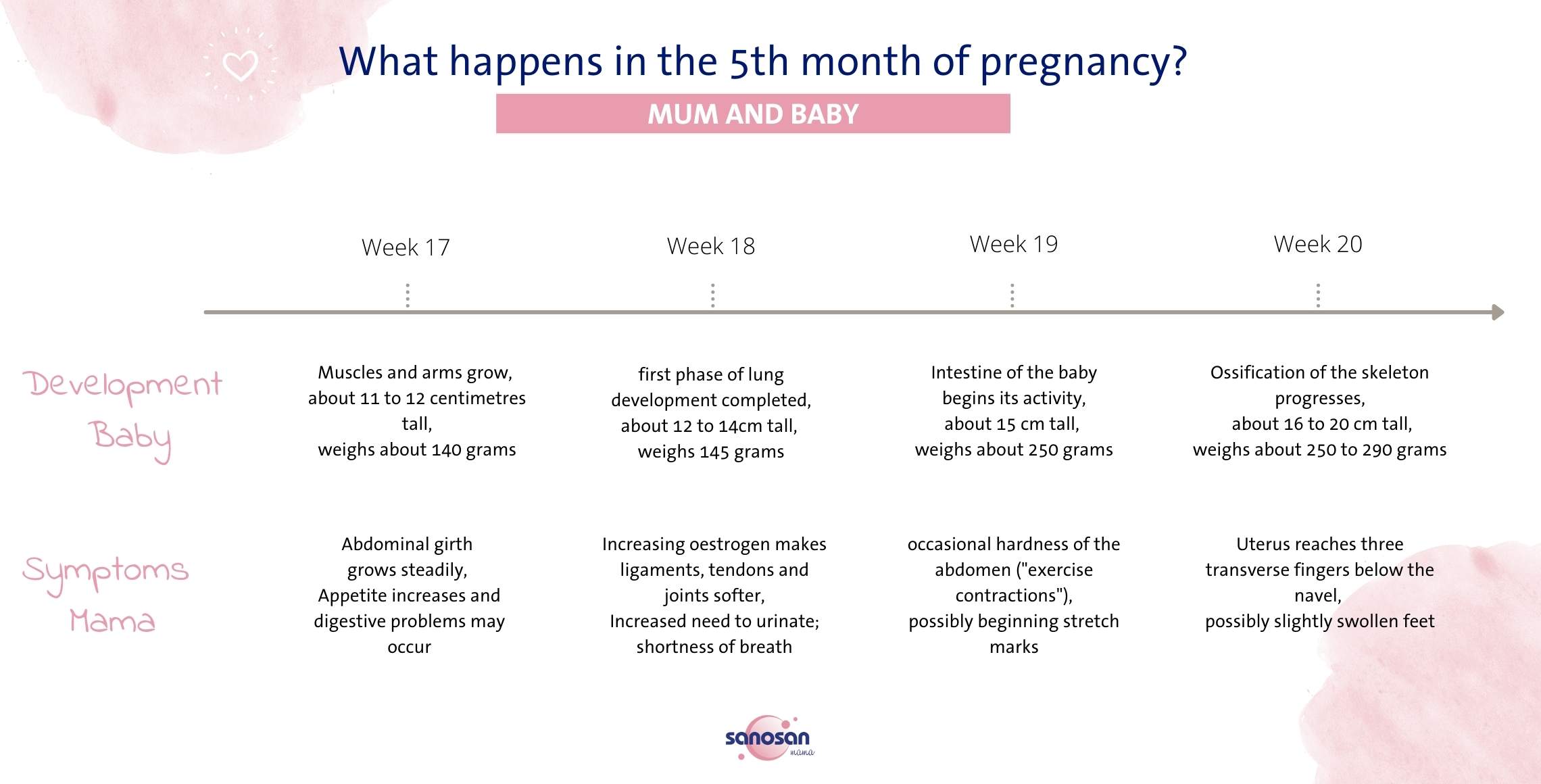 Your 5 meses de embarazo: What to expect? (Understand the key changes for mom and baby)