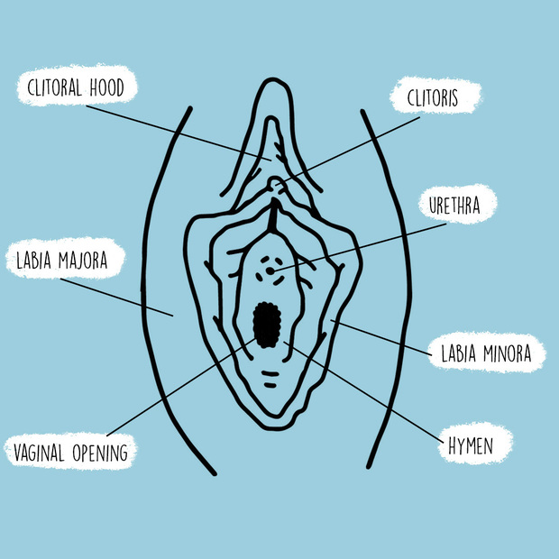 Oral Sex & Virginity: Understanding If Youre Still a Virgin
