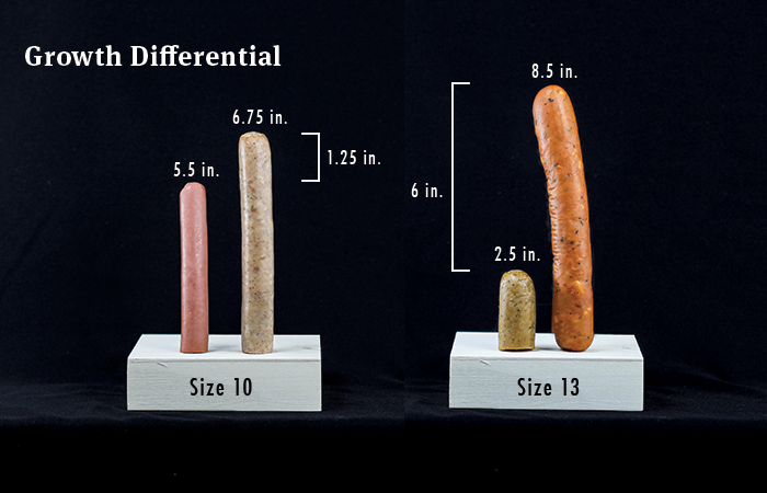 What is the Truth About 9 Inch Penises Size?